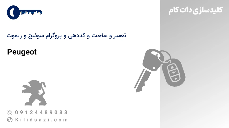 تعمیر و ساخت سوئیچ و ریموت پژو