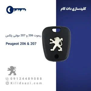 ریموت مولتی پلکس 206 و 207